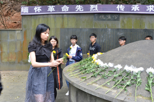 DSC_0775.jpg DSC_0775.jpg